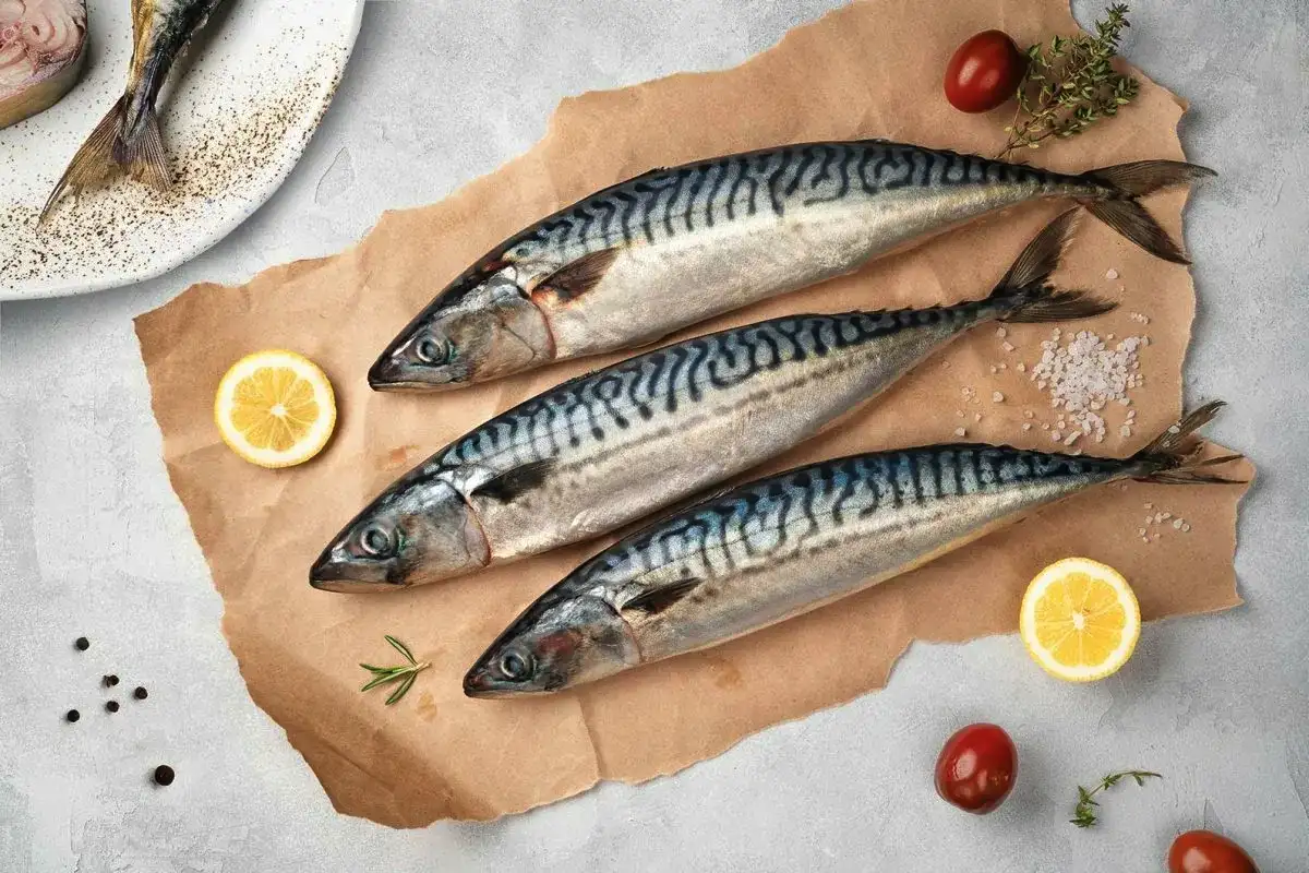 Makrilli ruokavaliossa: suomalainen omega-3-silmien hyvinvoinnin tuki Lapissa