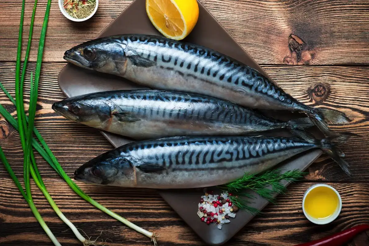 Makrilli ruokavaliossa: suomalainen omega-3-silmien hyvinvoinnin tuki Lapissa