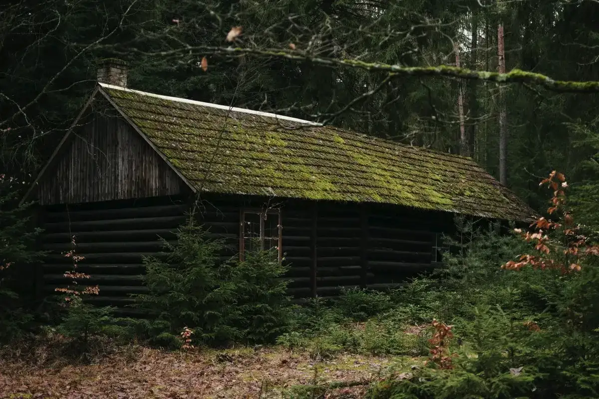Miksi suomalaiset pelkäävät vanhoja mökkejä? Menneisyyden karmivat legendat