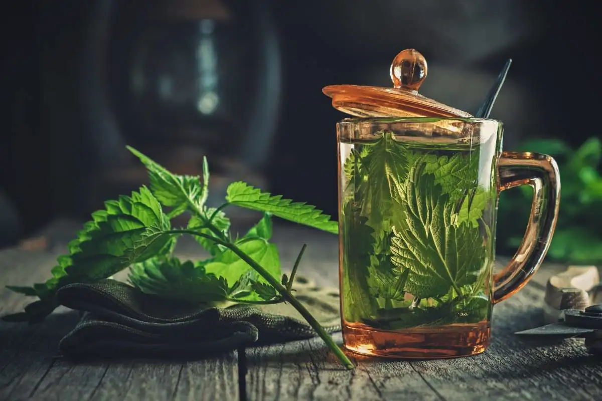 Yrttitee nokkosella: rentoutumista Helsingistä