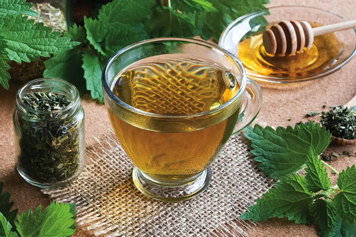 Yrttitee nokkosella: rentoutumista Helsingistä