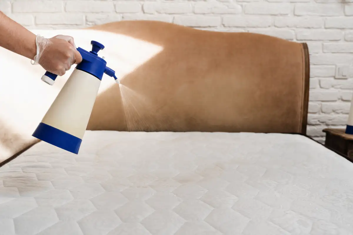 Miksi suihkuttaa vodkaa patjalle: Täydellinen kotitekoinen kikka puhtauteen