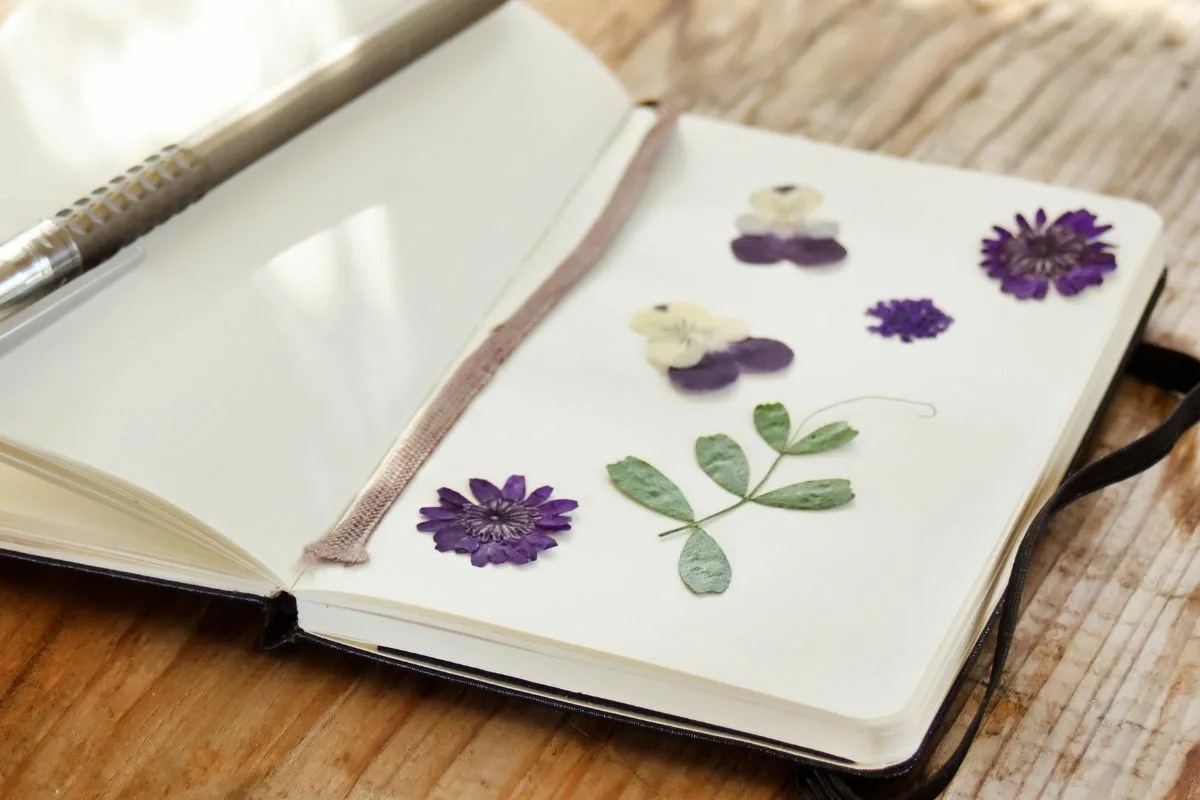 Oletko salaa konfliktialtis? Tämä hauska testi paljastaa todellisen tyylisi