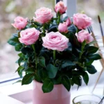 Pieni Dot-si rosa: Kultaa kuin bonsai – opi kasvattamaan tämä lumoava minikasvi!