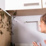 Poista vaatekaapin kosteus ja ummehtunut haju yhdellä yksinkertaisella keittiöaineella