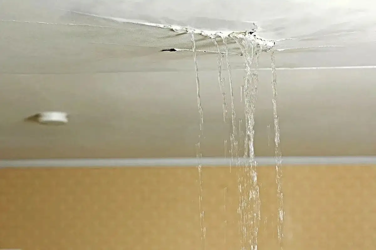 Hei vuodoille: Näin poistat ne kotoasi helposti ja edullisesti