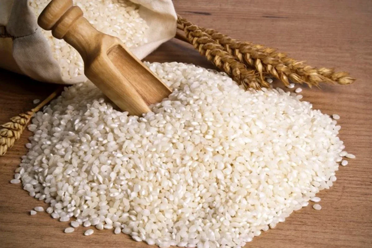 Resepti muurahaisia vastaan: Näin karkotat ne kahdella ainesosalla ja asiantuntijoiden kikalla