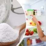 Miksi suomalaiset laittavat soodaa jääkaappiin? Paljastamme salaisuuden!