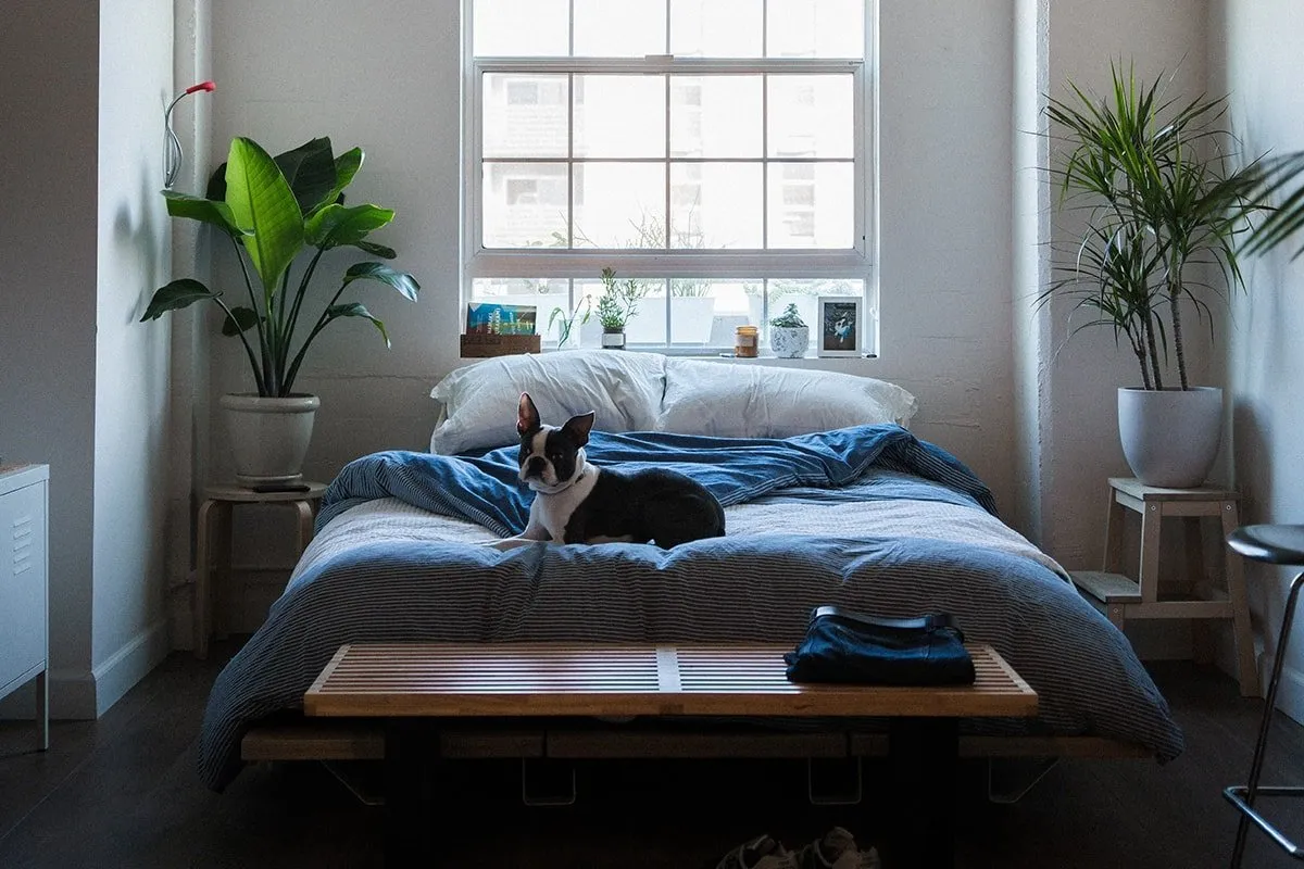 Missä sänkyä ei koskaan tulisi pitää huonon onnen välttämiseksi: Feng Shuin opit