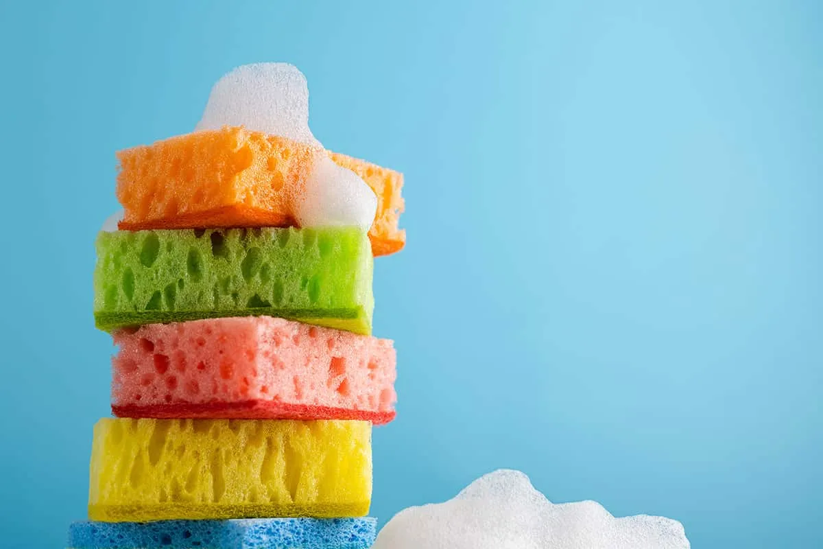 Sieni pesukoneessa: nerokas kikka, jolla poistat lemmikkieläinten karvat mustista vaatteista lopullisesti