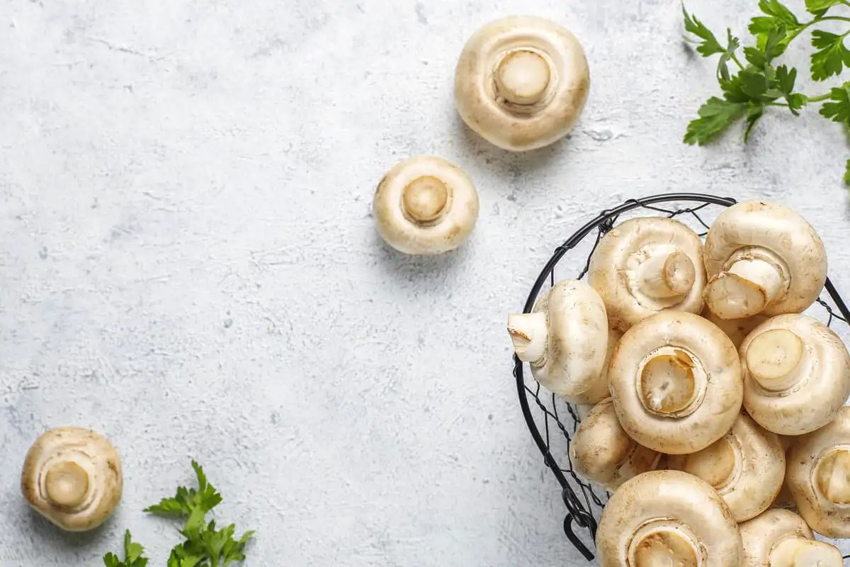 Sienten terveyshyödyt: miksi tämä superruoka ansaitsee paikan lautasellasi