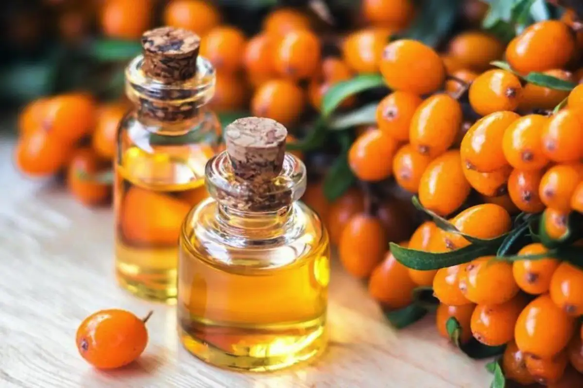 Suomalainen hiusvinkki tyrniöljystä: Kiiltoa hiuksiin Helsingissä