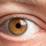 Paranna näköäsi pähkinöillä ja siemenillä: suomalainen ruokavalio silmien terveyttä varten