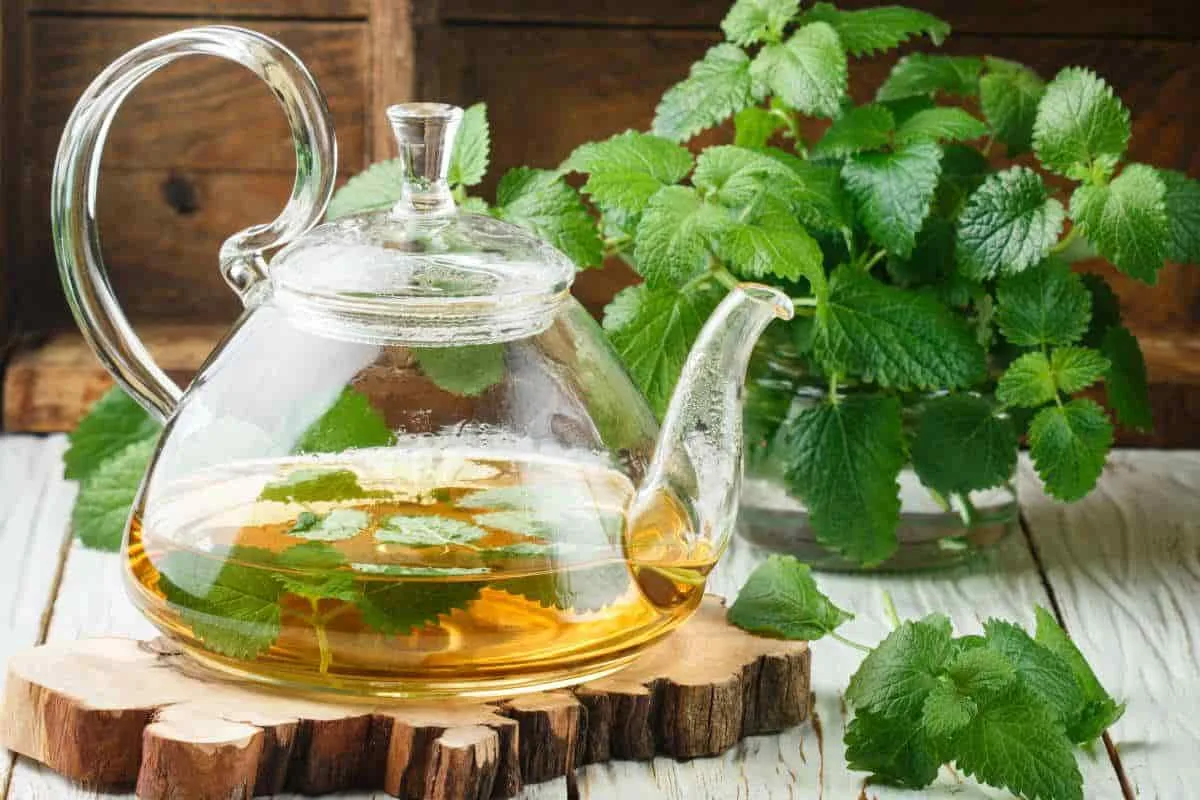 Suomalaiset iltajuomat: 5 suosituinta nukkumiseen ja rentoutumiseen