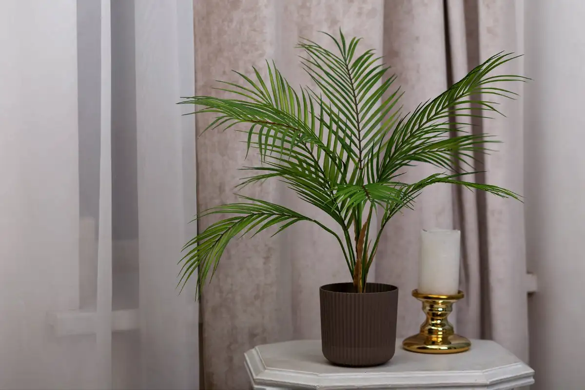 Viisi XL-kasvia olohuoneeseen, jotka tuovat tyyliä ja raikkautta kotiisi