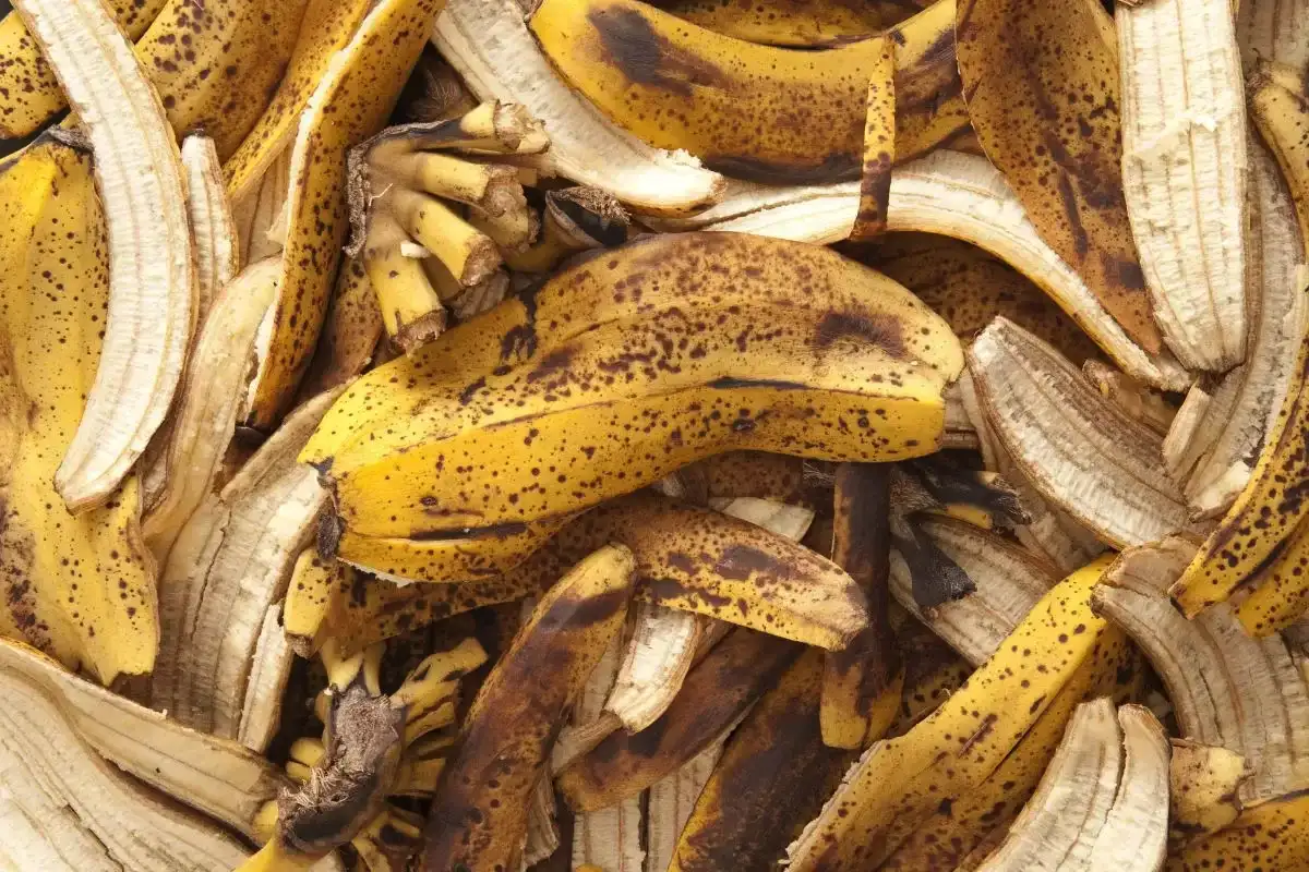 Tämä kuori voi poistaa syyliä: Näin käytät sitä oikein!