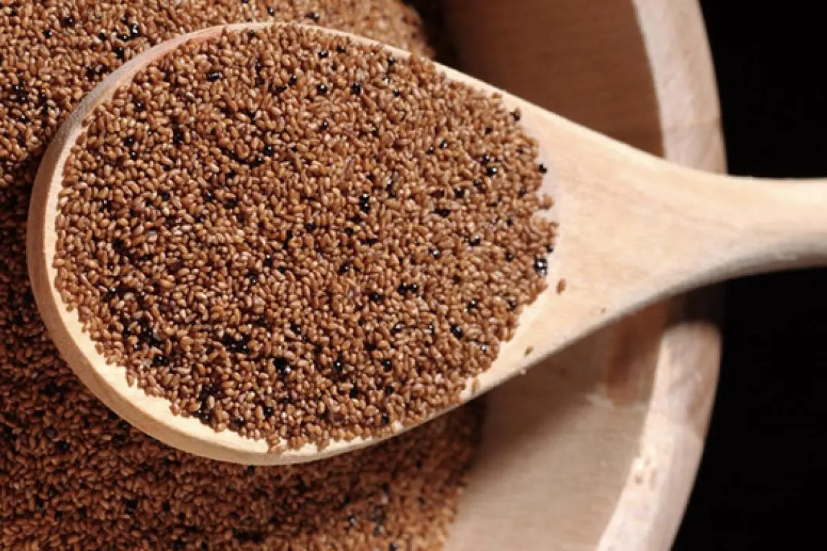 Kuinka syödä yli 45-vuotiaana: Ravitsemusterapeutit paljastavat 8 avainruokaa