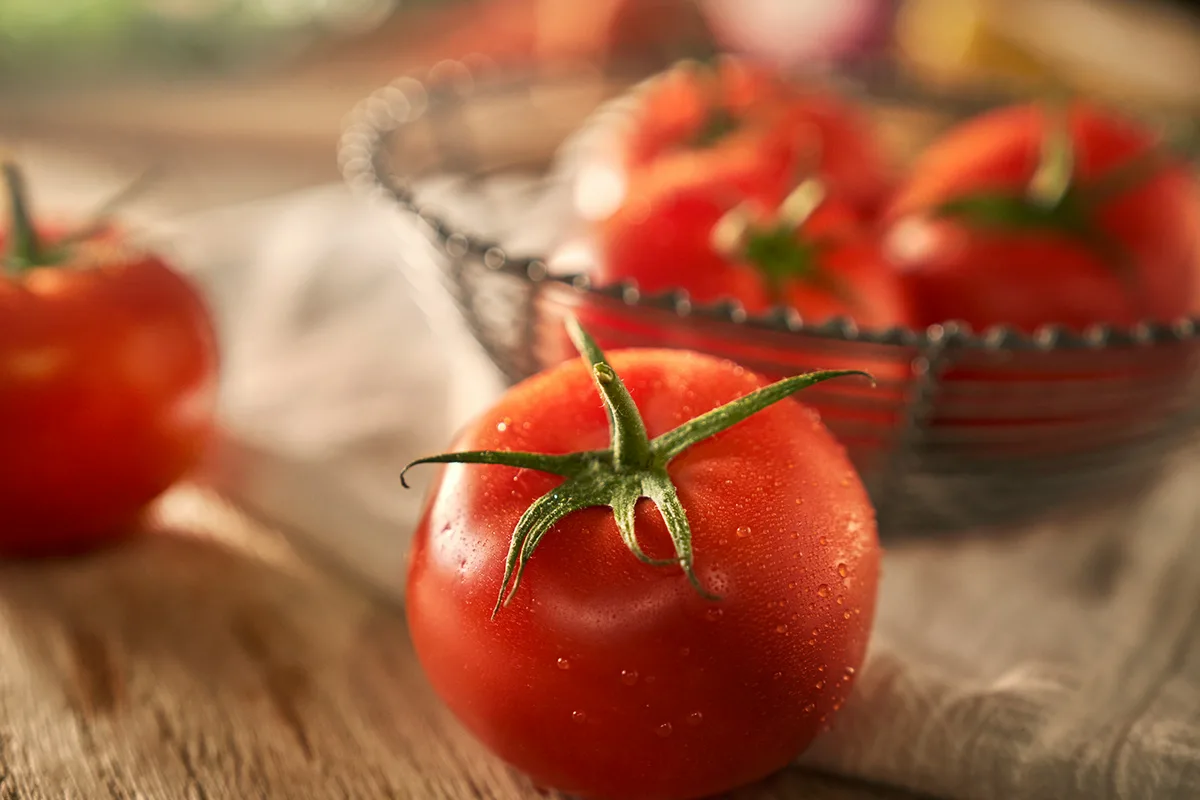 Kuinka pitää tomaatit tuoreina ja kiinteinä päivien ajan yksinkertaisella nikillä