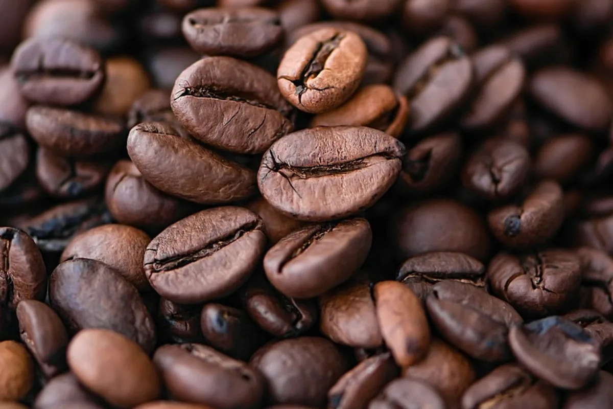 Hävitä torakat yksinkertaisella kahvansyötillä: nerokas torakkapuhdistusvinkki