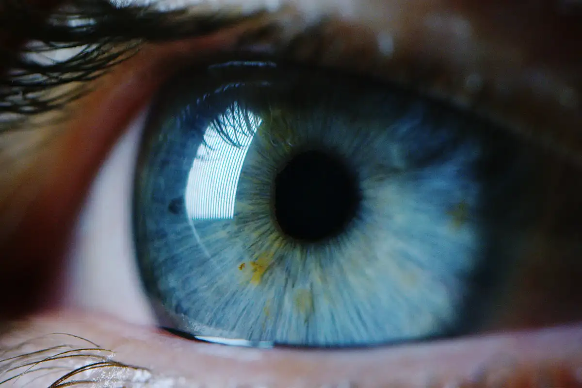 6 täysin turhaa elimiä: miksi kehomme pitää kiinni näistä?