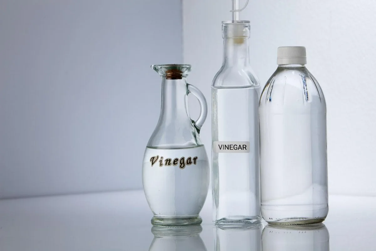 Poista uunin lika ja hajut 5 minuutissa ilman bicarbonaattia tai pesuainetta