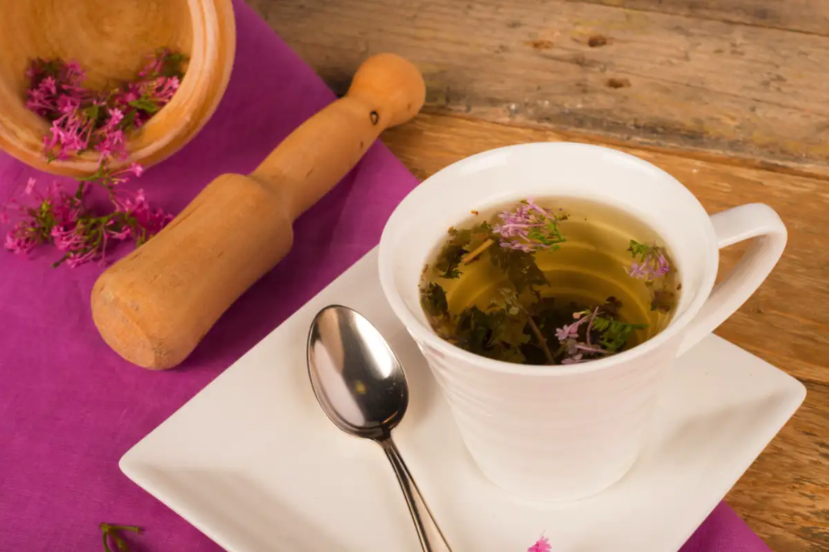 Suomalainen "yötee" valeriaanalla: Tampereen resepti nopeaan nukahtamiseen