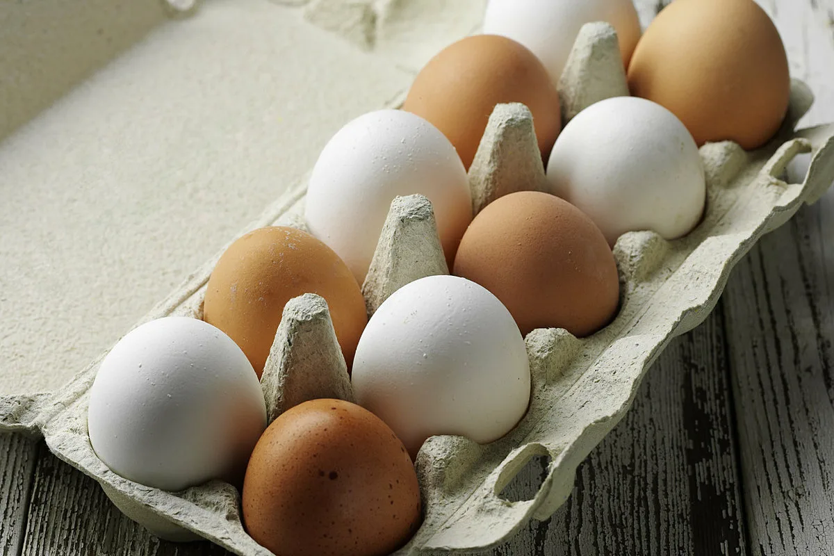 Harvat tietävät tämän: todellinen ero valkoisten ja ruskeiden munien välillä