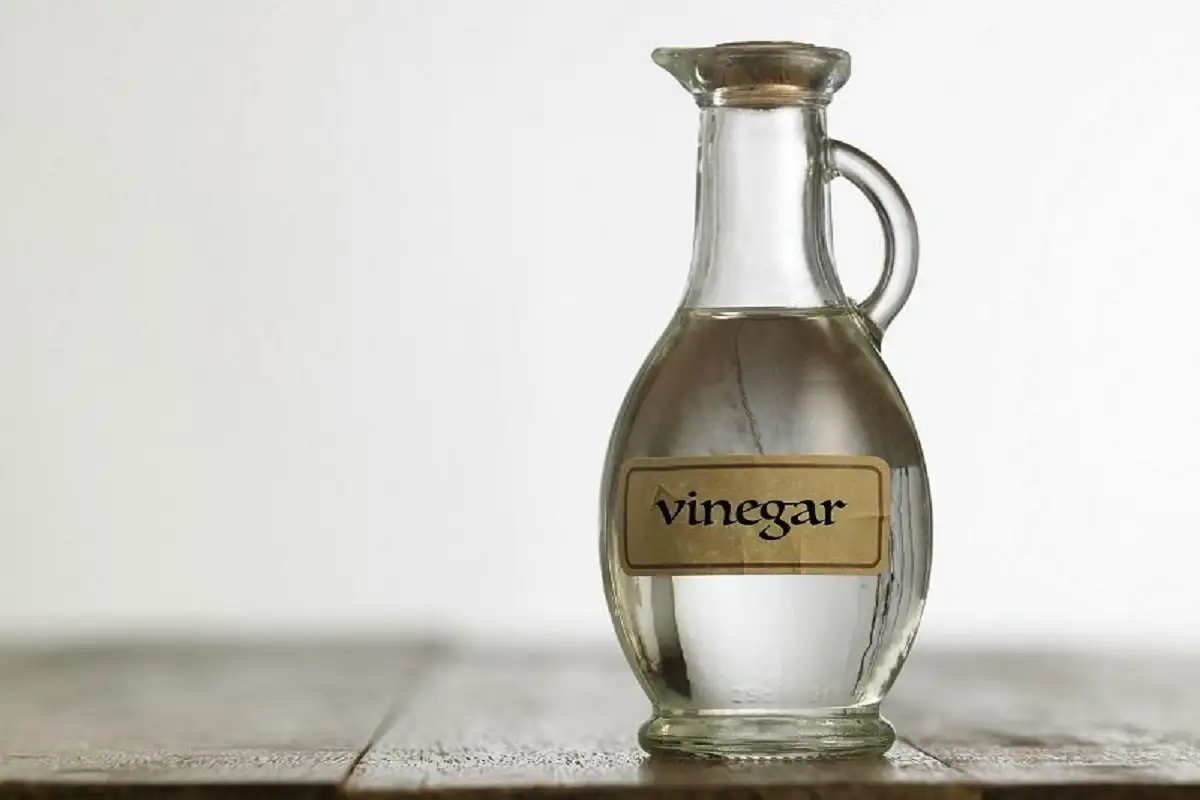 Valkoviinietikka kasveille: Näin pelastat puutarhasi luonnollisesti!