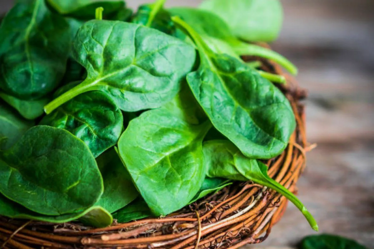 Viisi vihannesta, jotka auttavat polttamaan viskeraalista rasvaa