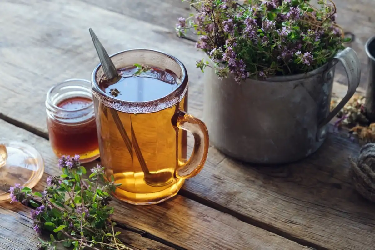 Yrttitee timjamilla: Helsinki-läinen rentoutushetki kupissa