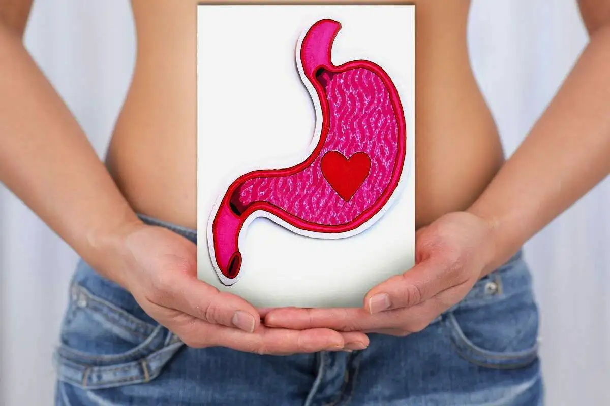 5 yllättävää faktaa mahastasi – nämä muuttavat käsityksesi ikuisesti!