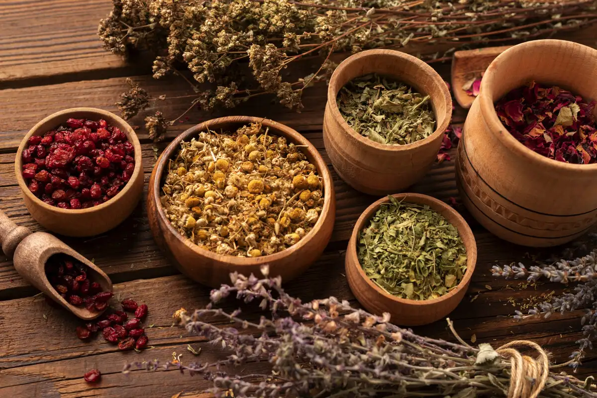 Adaptogeenit: Terveyden liittolaisia vai ohimenevä trendi? Mitä ne ovat ja mitä tiede sanoo