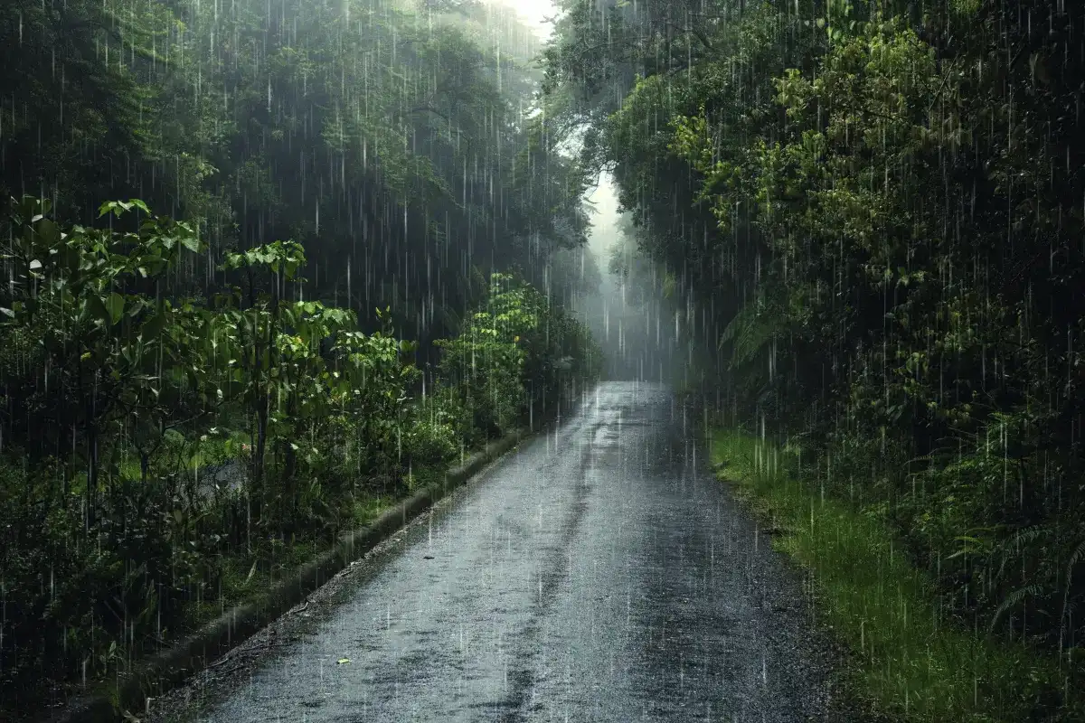 AI sääennusteissa: Suomalainen innovaatio syysrankkasateiden hallintaan