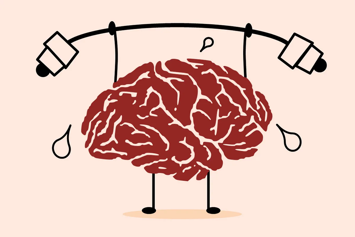 Aivojen huippukausi: tiede paljastaa, milloin mieli on terävimmillään