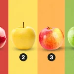 Mikä omena valitsisit ja söisit: yllättävän tarkka testi älykkyystasostasi