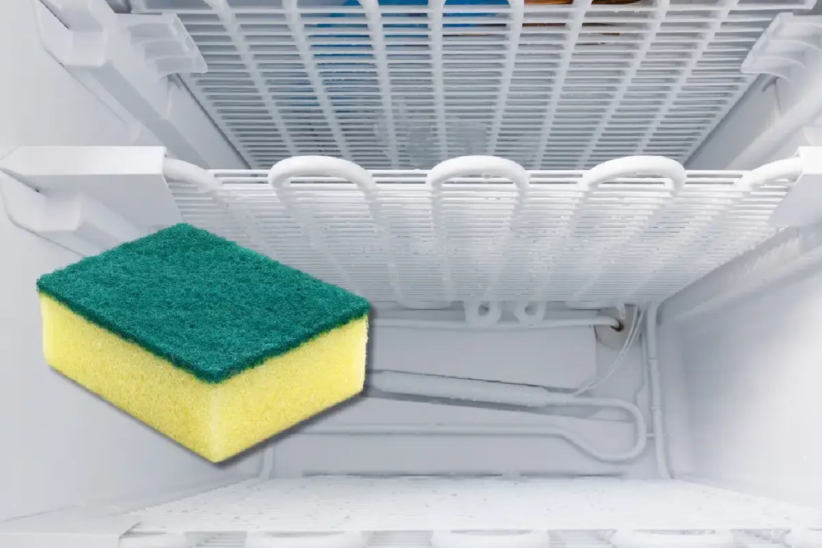 Astianpesusienen jäädyttäminen: Nerokas kodin niksi, joka säästää aikaa ja rahaa