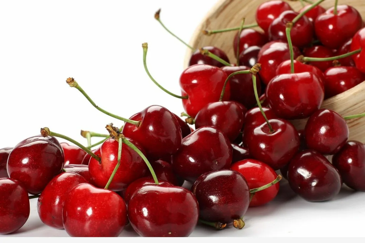 Lokakuu roosana: 10 ruokaa, jotka auttavat ehkäisemään rintasyöpää