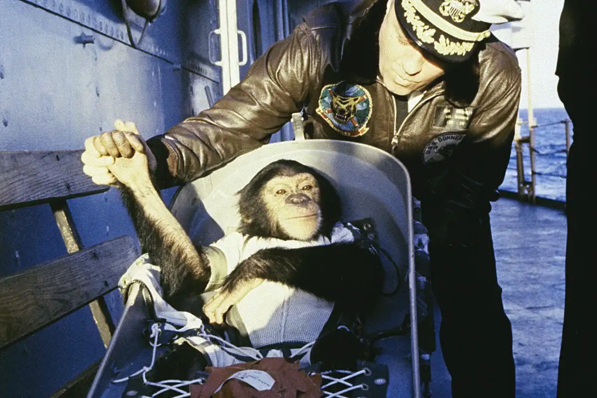 Avaruuden pioneereja: 10 eläintä, jotka kiersivät maailmaa – osa ei palannut