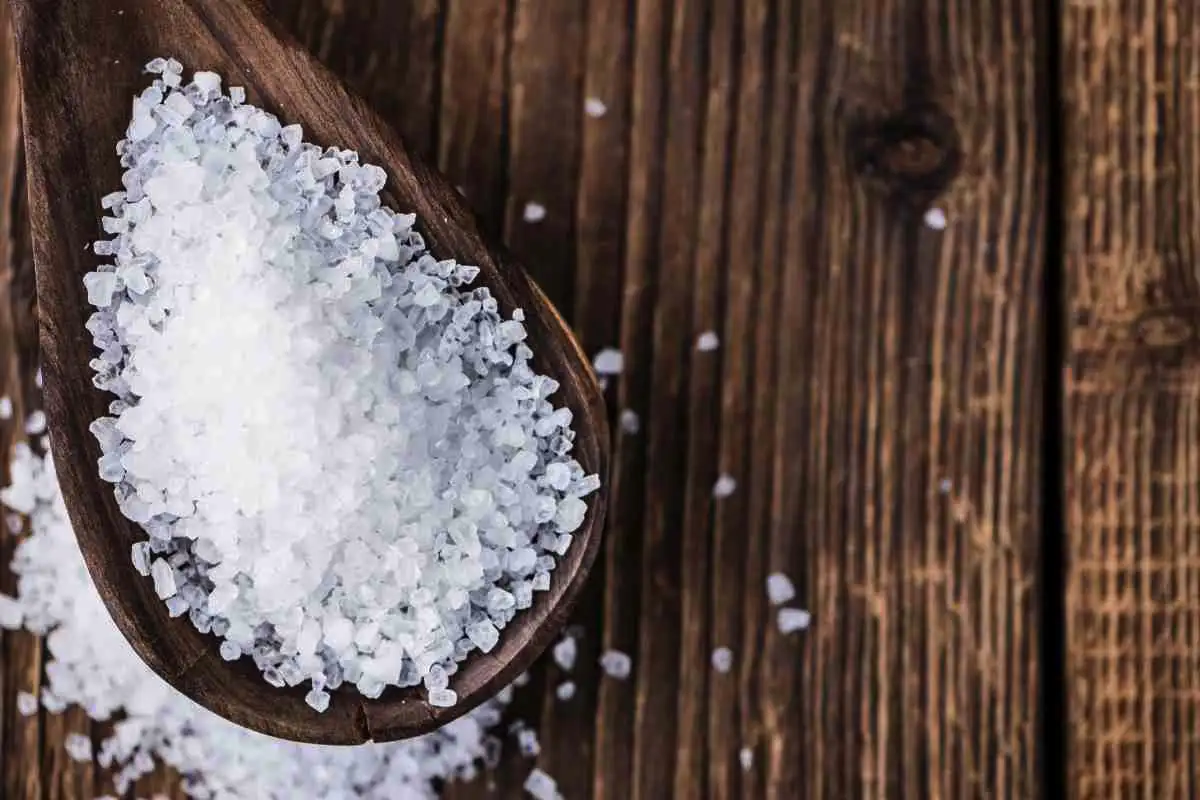 Rituaali: Sitruuna oven taakse suojaa kotiasi negatiivisilta energioilta