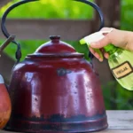 Miksi mateen ja teekannuun kannattaa suihkuttaa etikkaa: Mitä se tarkoittaa?