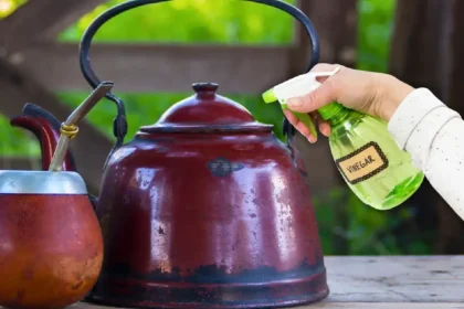 Miksi mateen ja teekannuun kannattaa suihkuttaa etikkaa: Mitä se tarkoittaa?