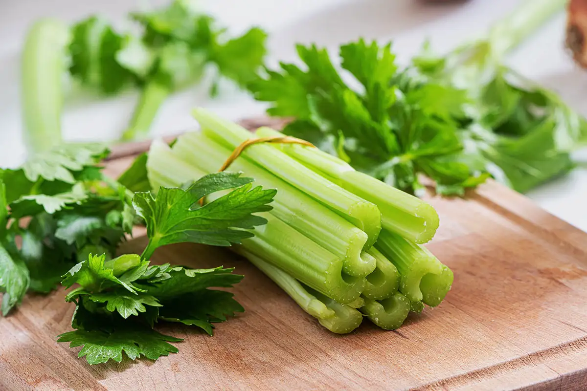 Isoäidin Salainen Vinkki: Näin Saat Guisoon Lisää Makua Kylminä Päivinä – Selleri Muuttaa Kaiken