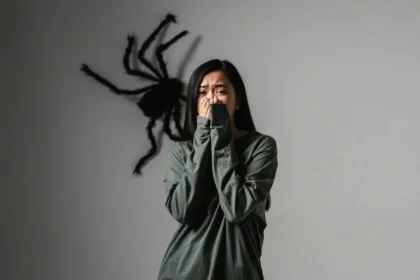 Hämähäkkipelon hallinta: Näin rauhoitat mielesi hetkessä