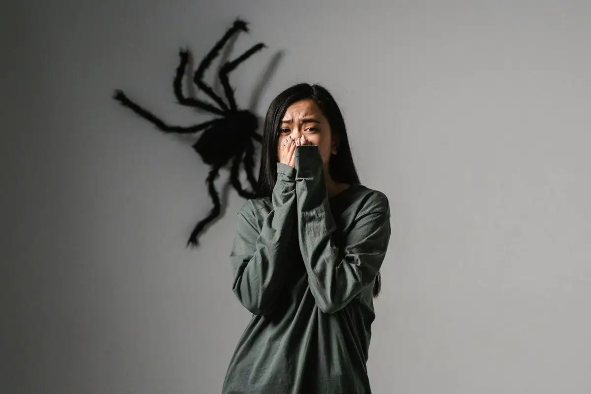 Hämähäkkipelon hallinta: Näin rauhoitat mielesi hetkessä