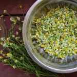 Kamomillahöyry Lapissa: Suomalainen detox-rituaali ihon hyvinvointiin