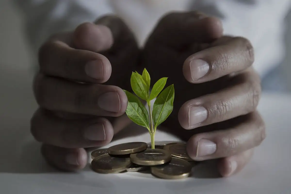 Kiinalainen horoskooppi: Näiden merkkien on hillittävä "suuria kuluja" lokakuussa