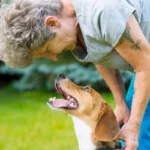 Viisi kotitestiä, jotka paljastavat, onko koirasi älykkäämpi kuin muut