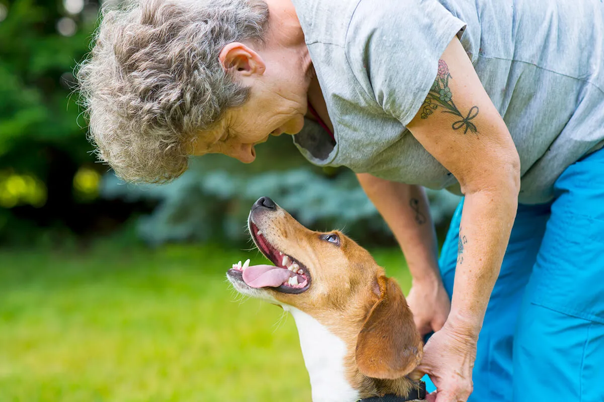 Viisi kotitestiä, jotka paljastavat, onko koirasi älykkäämpi kuin muut