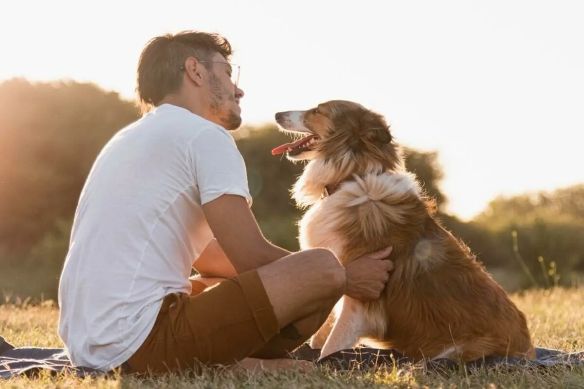 Viisi kotitestiä, jotka paljastavat, onko koirasi älykkäämpi kuin muut