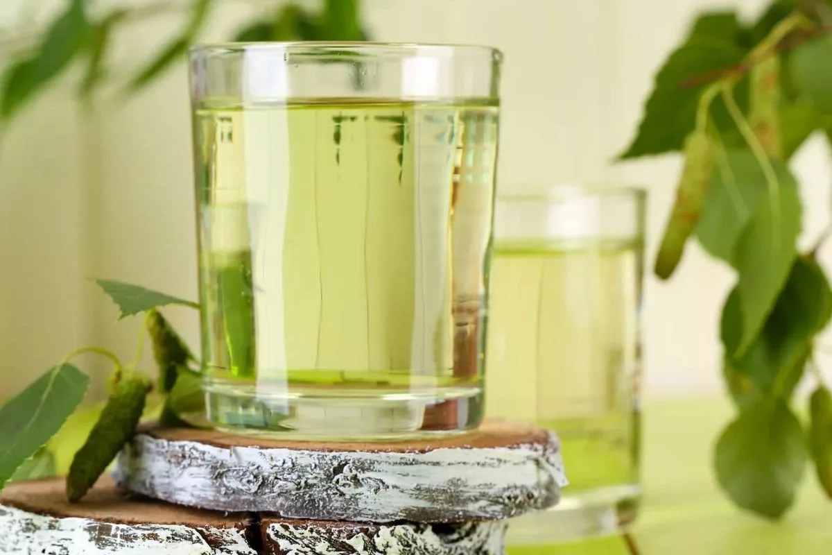 Koivunlehtikeite hiusten huuhteluun: Helsingin salaisuus kiiltäviin hiuksiin